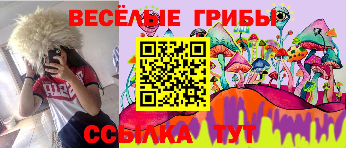 Щёлково  Галлюциногенные грибы мицелий  Вход с VPN 